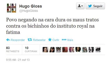 beagle-hugo-gloss
